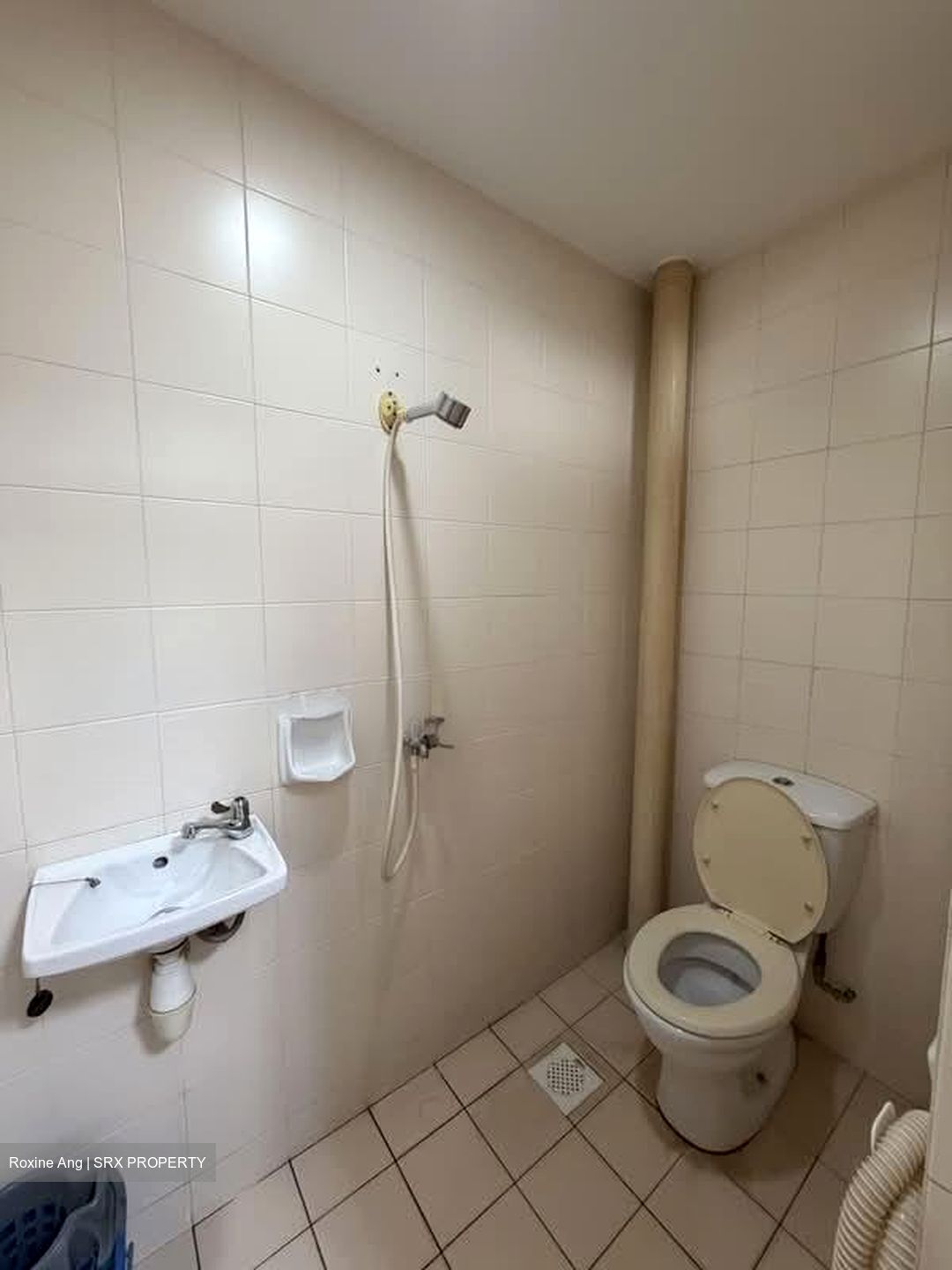 Seletaris (D27), Condominium #569147951